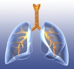 Specialty Lung Diseases